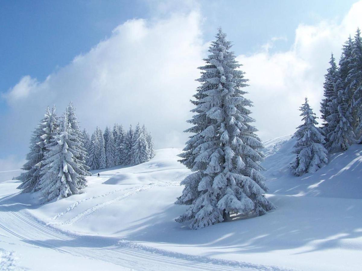 Mont Thabor Serre Chevalier